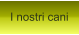 I nostri cani
